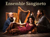 Ensemble Sangineto - On Tour From Italy