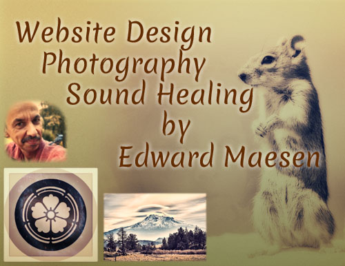Website Design by Edward Maesen logo